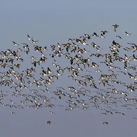 Appartement Luxury Retreat With Direct Access To Nature *